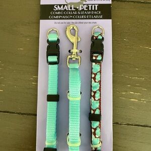 Petmate Small Dog Collar & Leash Pack - Turquoise and Brown